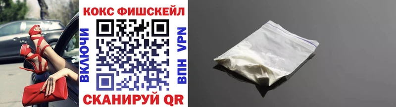 Кокаин Fish Scale  купить закладку  Приморск 