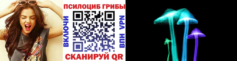 наркота  Приморск  Псилоцибиновые грибы мухоморы 