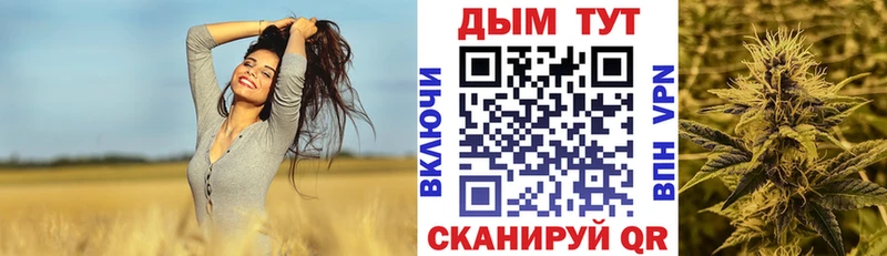 Бошки Шишки ГИДРОПОН  Приморск 